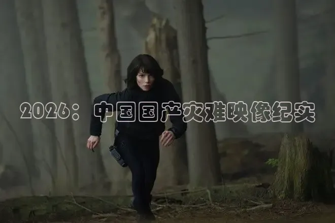 2026：中国国产灾难映像纪实